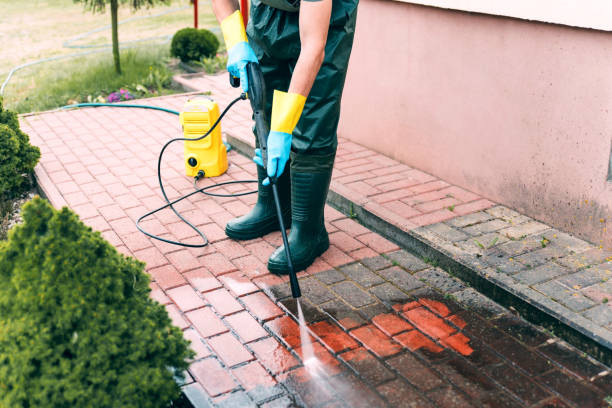 Best Roof Pressure Washing  in Shelton, NE