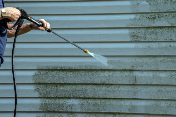 Best Roof Power Washing Services  in Shelton, NE