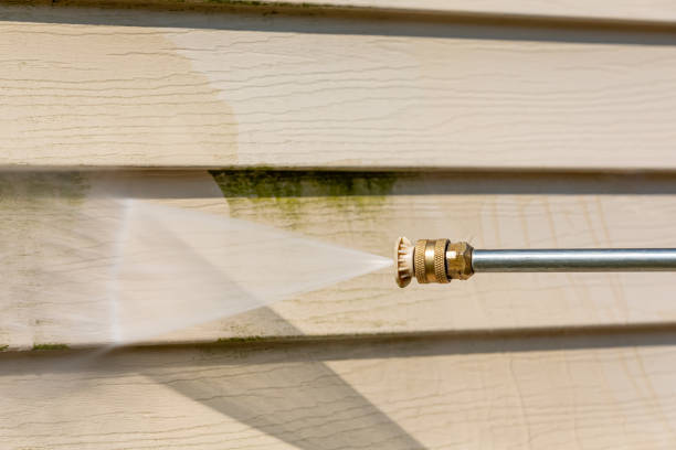 Best Commercial Building Pressure Washing  in Shelton, NE